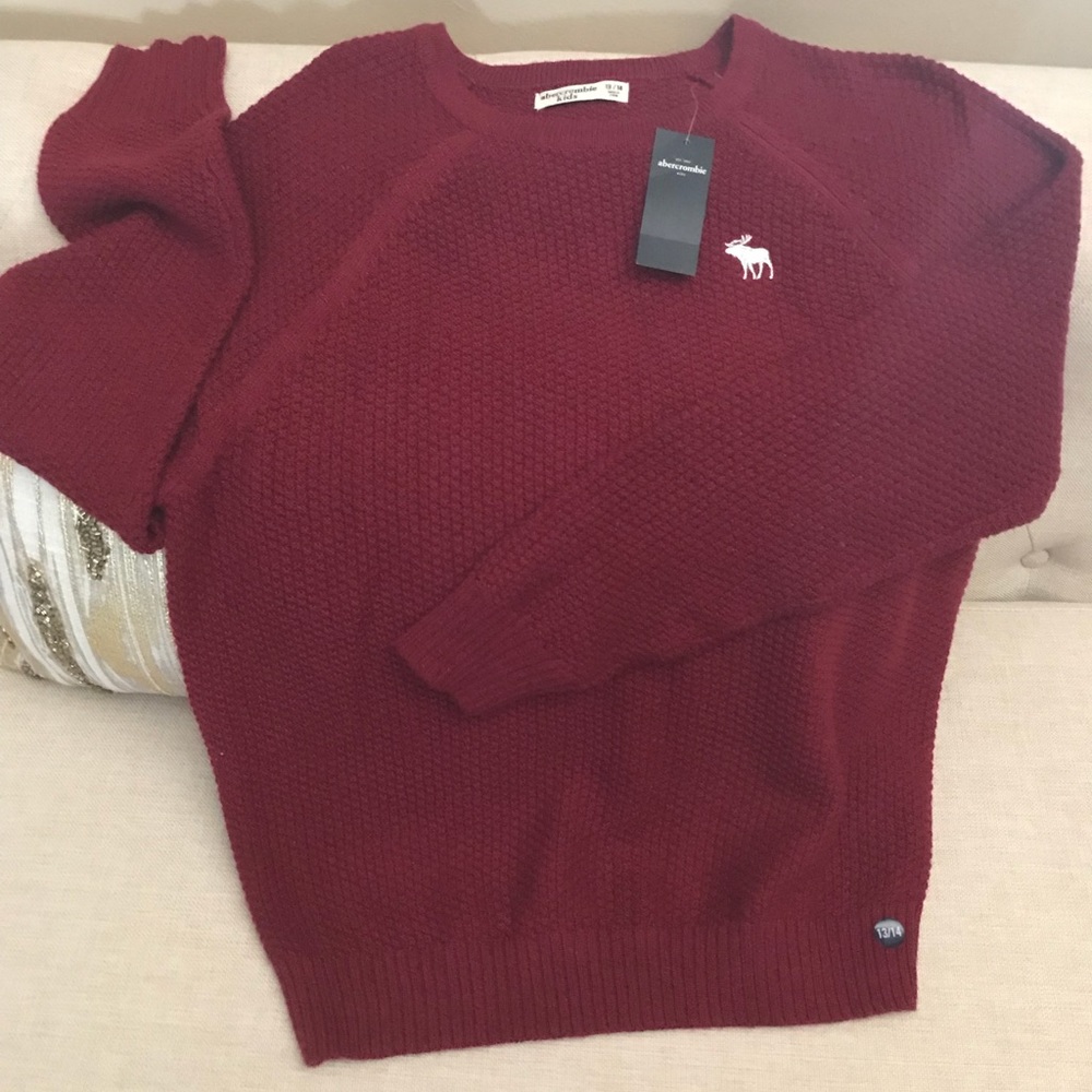 Abercrombie Kids Burgundy Sweater